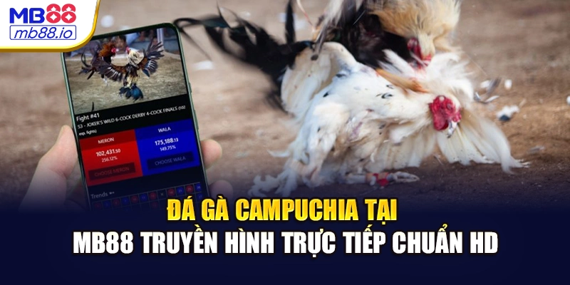 Đá gà Campuchia tại MB88 truyền hình trực tiếp chuẩn HD
