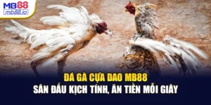 Đá Gà Cựa Dao MB88: Sân Đấu Kịch Tính, Ăn Tiền Mỗi Giây
