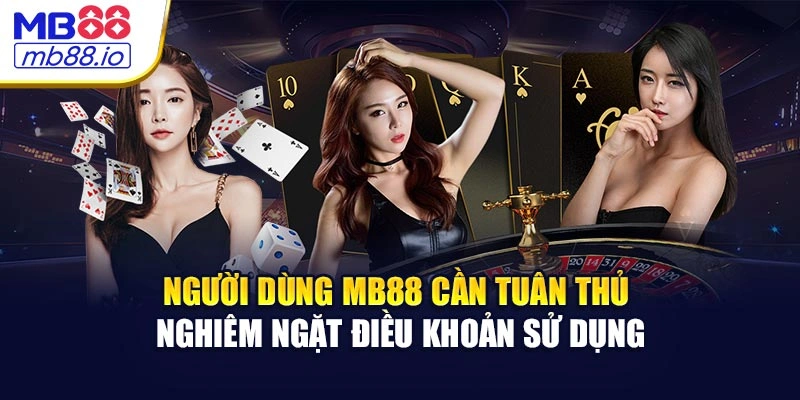 Người dùng MB88 cần tuân thủ nghiêm ngặt điều khoản sử dụng